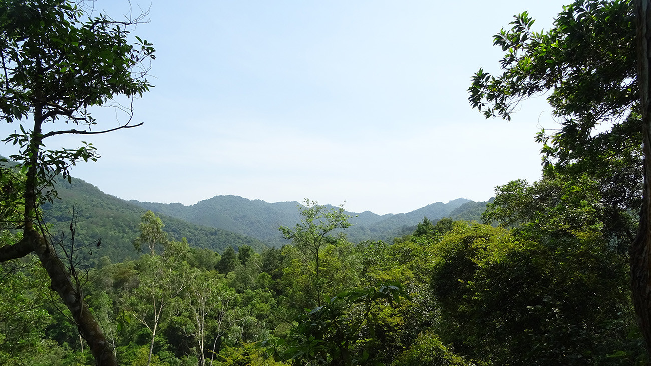 Die Regenwälder in Nordvietnam sind ein Hotspot der Artenvielfalt. Hier liegt die Forschungs- und Zuchtstation Me Linh. | Thomas Ziegler