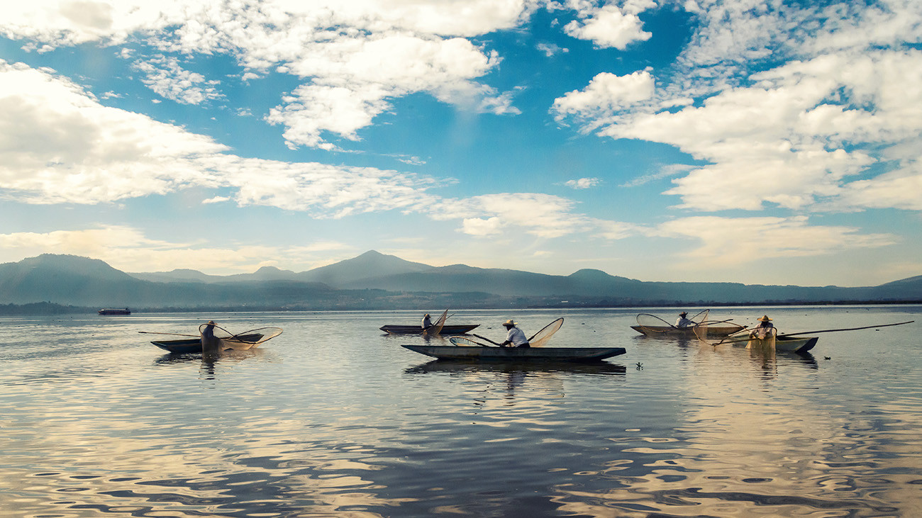 Noch 1987 haben Fischer im Pátzcuaro-See sechs Tonnen Querzahnmolche gefangen. | Esdelval, Shutterstock