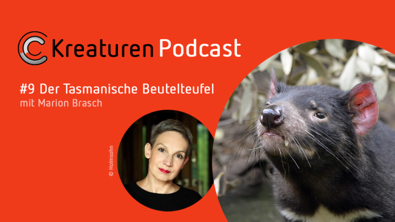 In Folge 9 präsentiert Schriftstellerin und Moderatorin Marion Brasch den Tasmanischen Beutelteufel. Der ist sowas wie der Wutbürger unter den Tieren und doch auch sehr sympathisch.