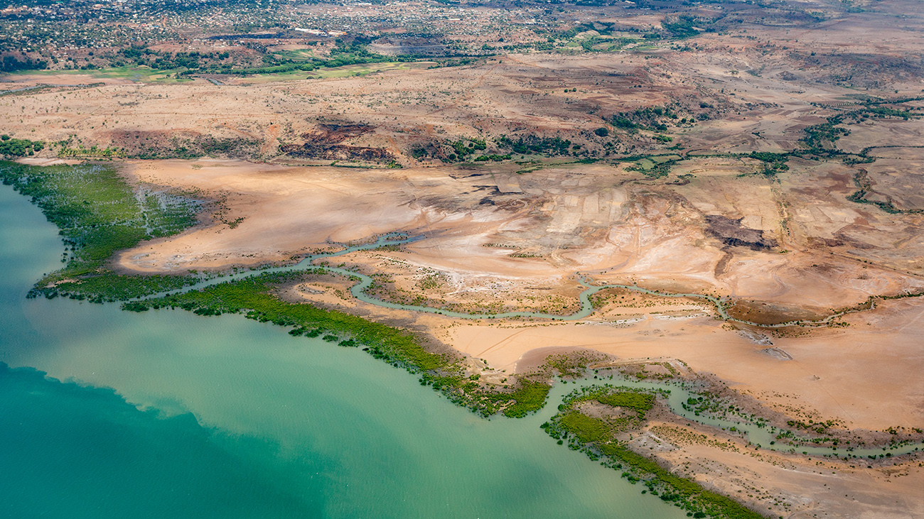 Increased erosion due to the lack of forests near the shore leads to siltation of the water bodies; however, the rainbowfish like clear water. | Artush/Shutterstock