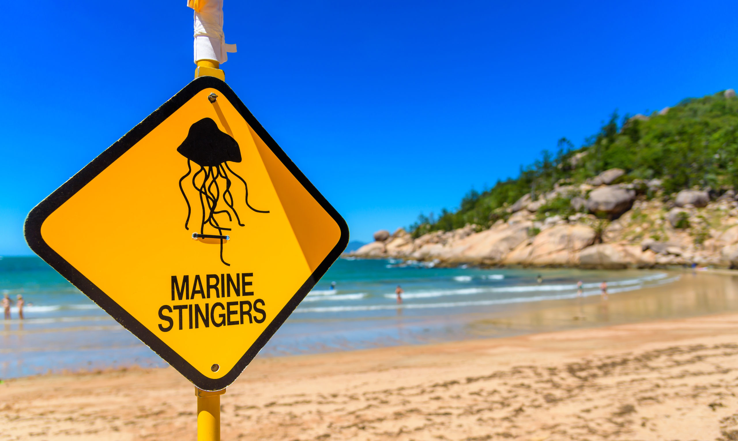 Deshalb müssen die australischen Behörden hier nachhelfen. Sie warnen in schönstem Terribilis-Gelb vor der unsichtbaren Gefahr im Wasser. | Adam Calaitzis, Shutterstock