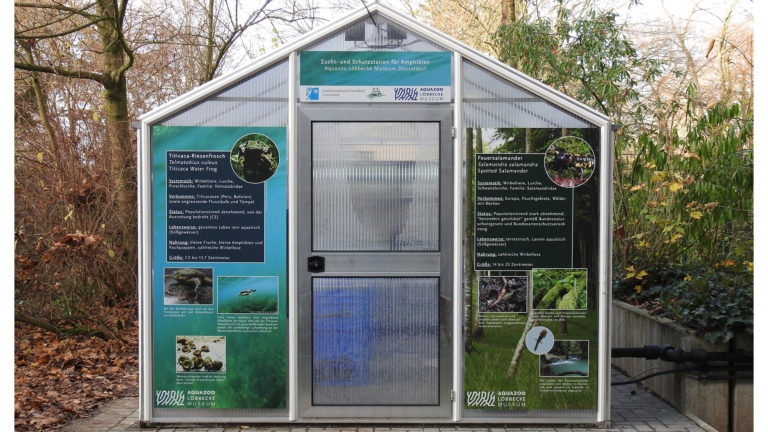 A greenhouse as a breeding station | Aquazoo Löbbecke Museum