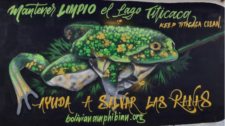 A mural on the Bolivian side of Lake Titicaca calls for protection of endangered frogs and the lake. | Arturo Muñoz-Saravia