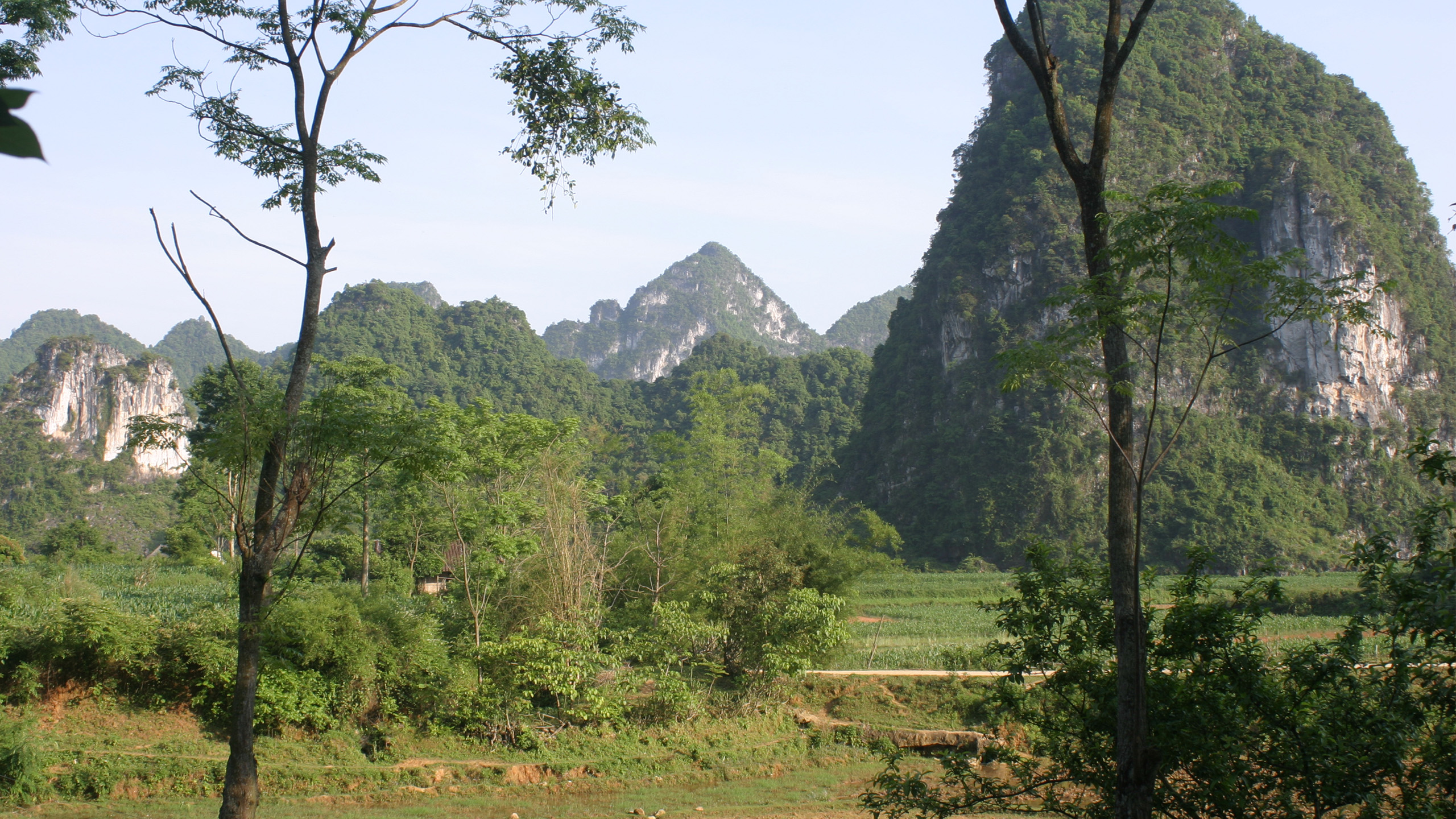 Im Lebensraum von Zieglers Krokodilmolch in der Provinz Cao Bang im Norden Vietnams – die Landschaft ist geprägt von Karst-Felsformationen. | Thomas Ziegler