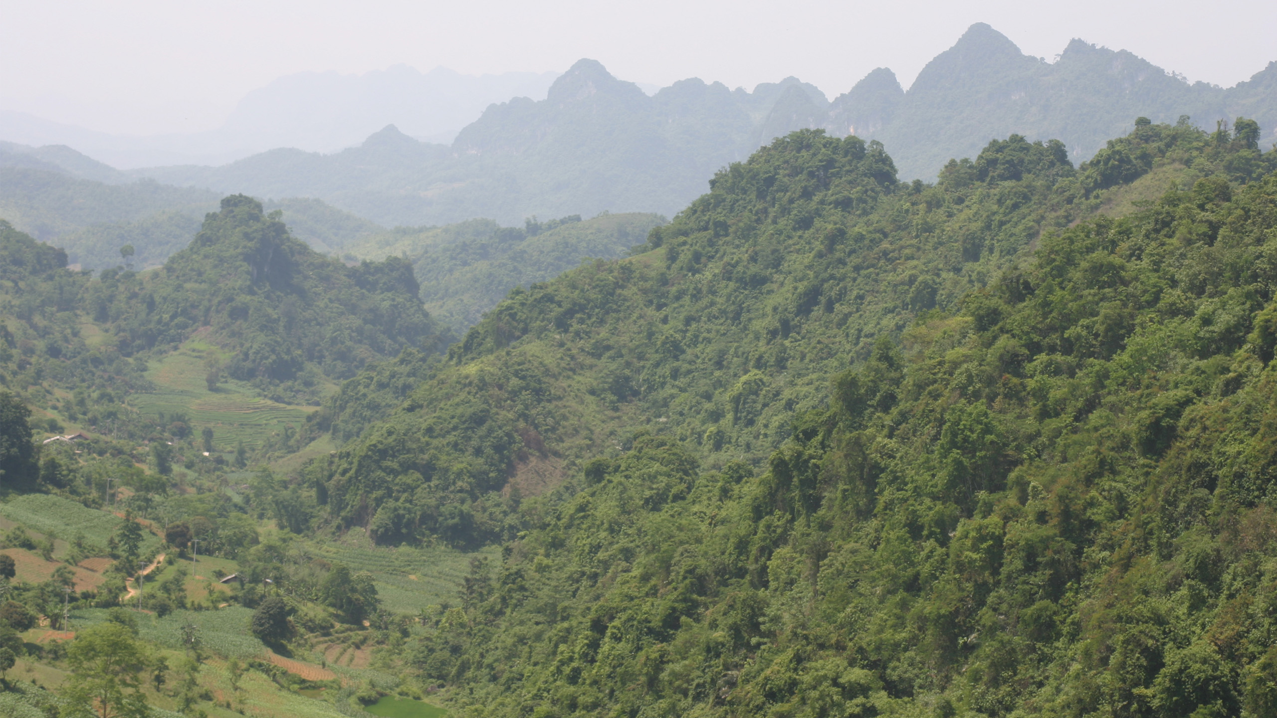 Regenwald wächst im Norden Vietnams häufig nur noch in fragmentierten Restbeständen. Durch die Abholzung wird eine Vielzahl von Arten gefährdet. | Thomas Ziegler