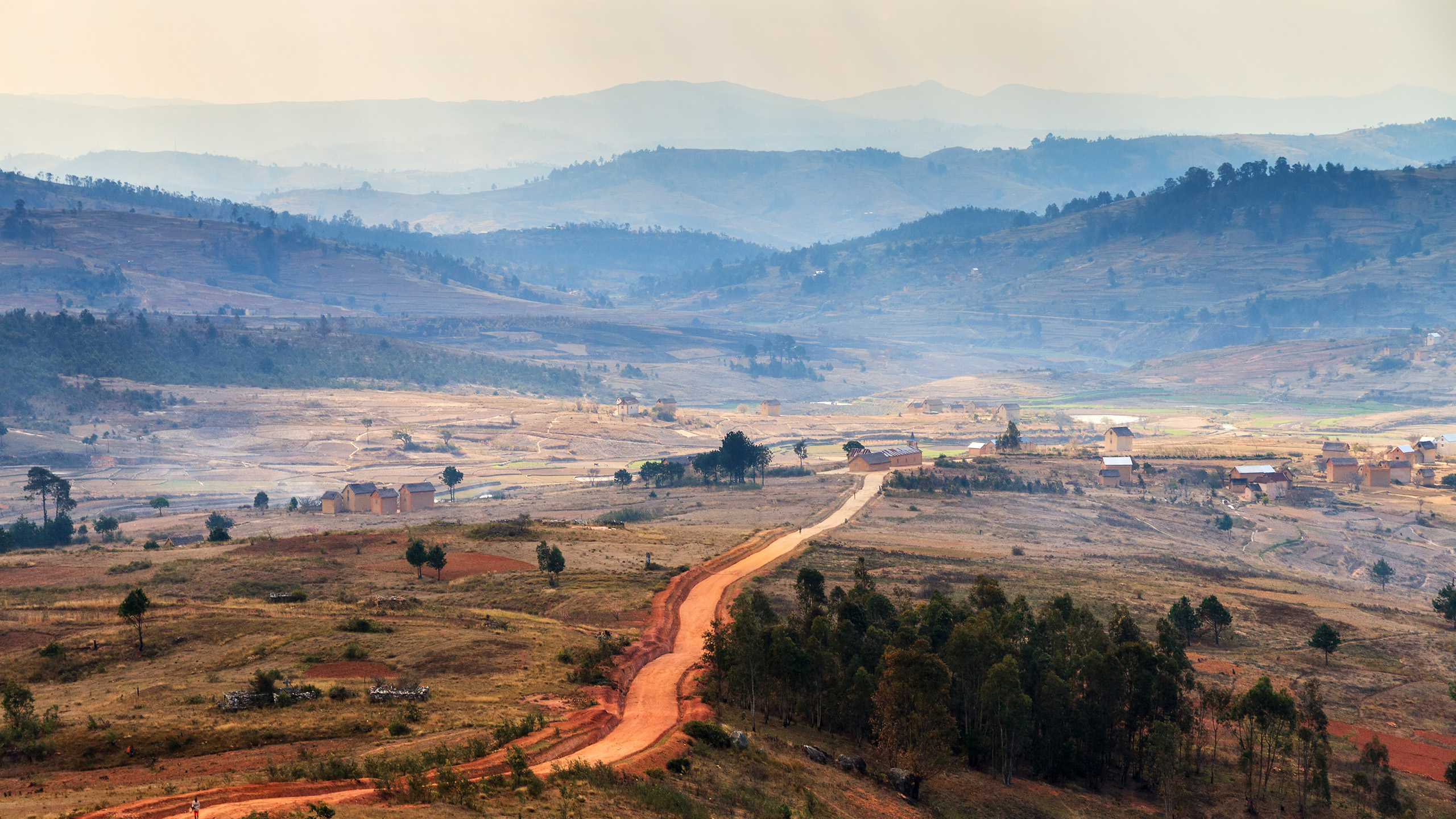 Über 90 % der ursprünglichen Waldflächen Madagaskars sind bereits vernichtet. | Dennis van de Water/Shutterstock