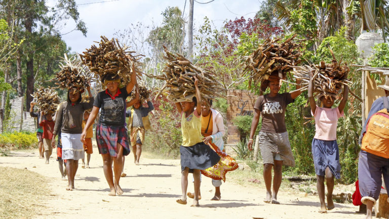 Das jährliche Bevölkerungswachstum auf Madagaskar schwankt zwischen 2,5 und 3,2 %. Seit 160 ist die Bevölkerung der Inselt um 458 % gestiegen. | Damian Ryszawy/Shutterstock