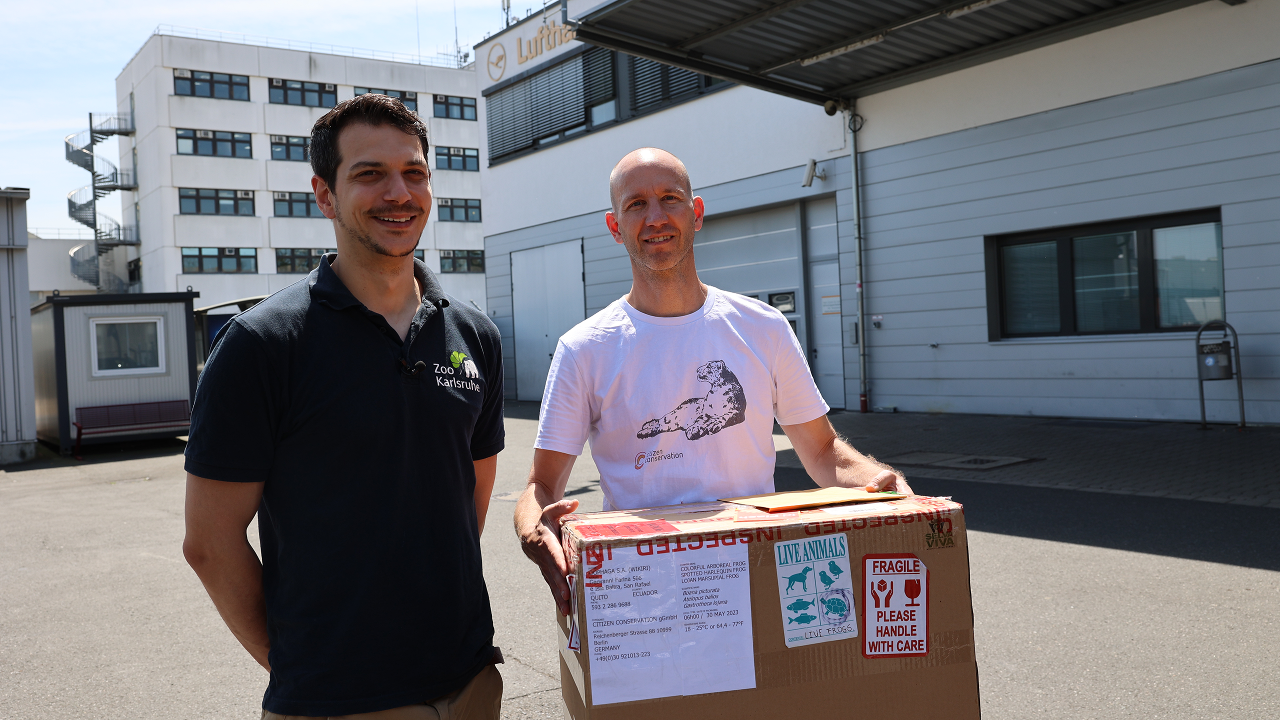 Glückliche Ankunft: Lukas Reese und Citizen-Conservation-Kurator Johannes Penner (rechts) nehmen die Kiste mit den Stummelfußkröten in Empfang ... | Timo Deible, Zoo Karlsruhe