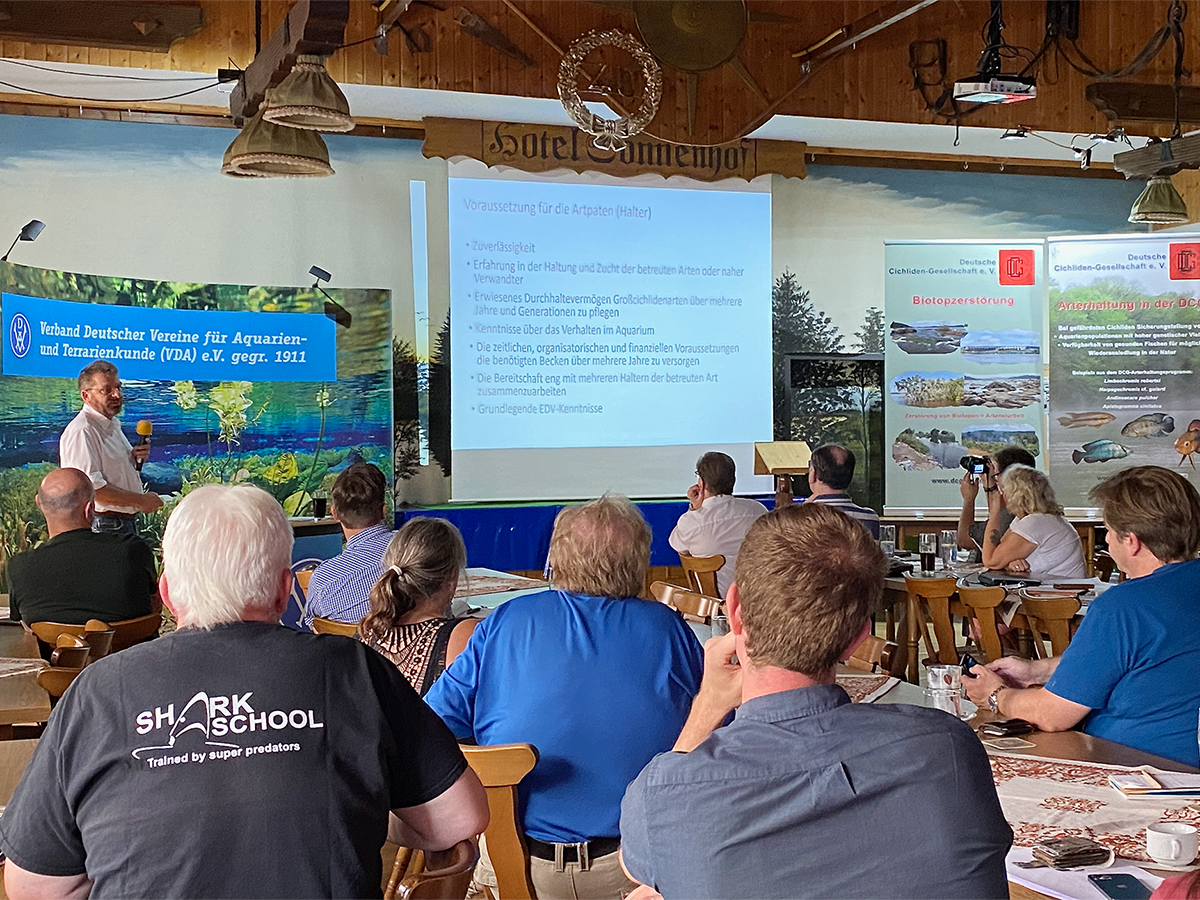 Private keeper Carsten Weile showed the participants the effort he puts into coordinating species conservation programs for large cichlids on a voluntary basis. | Kathrin Glaw