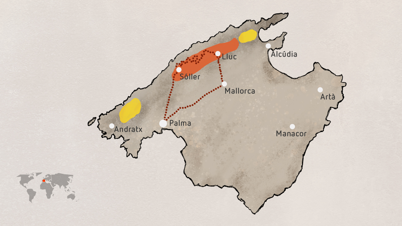 Eine Karte von Mallorca, auf der das Verbreitungsgebiet der Mallorca-Geburtshelferkröte und Oles Radtour eingezeichnet sind.
