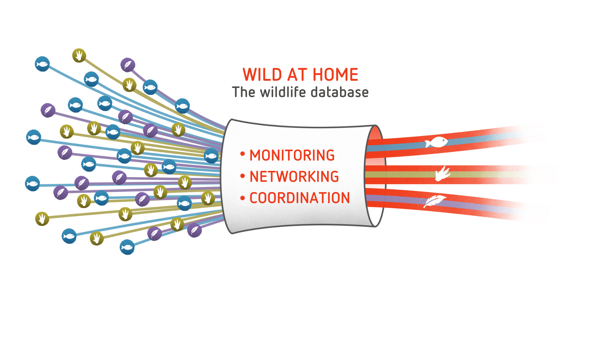 The image shows a graphic of Wild at Home and illustrates that the platform combines the areas of monitoring, networking and coordination.