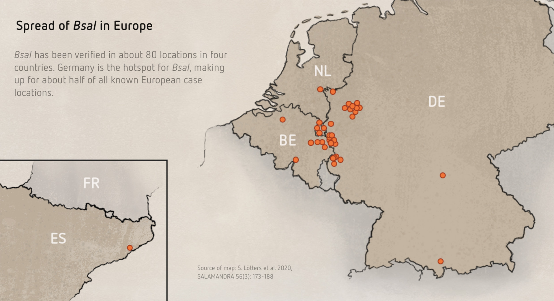 A graphic showing the spread of Bsal in Europe, the fungus that threatens the fire salamander.